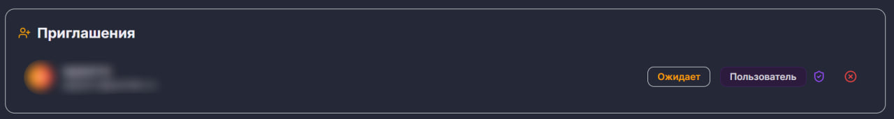 Team — new invitation — pending